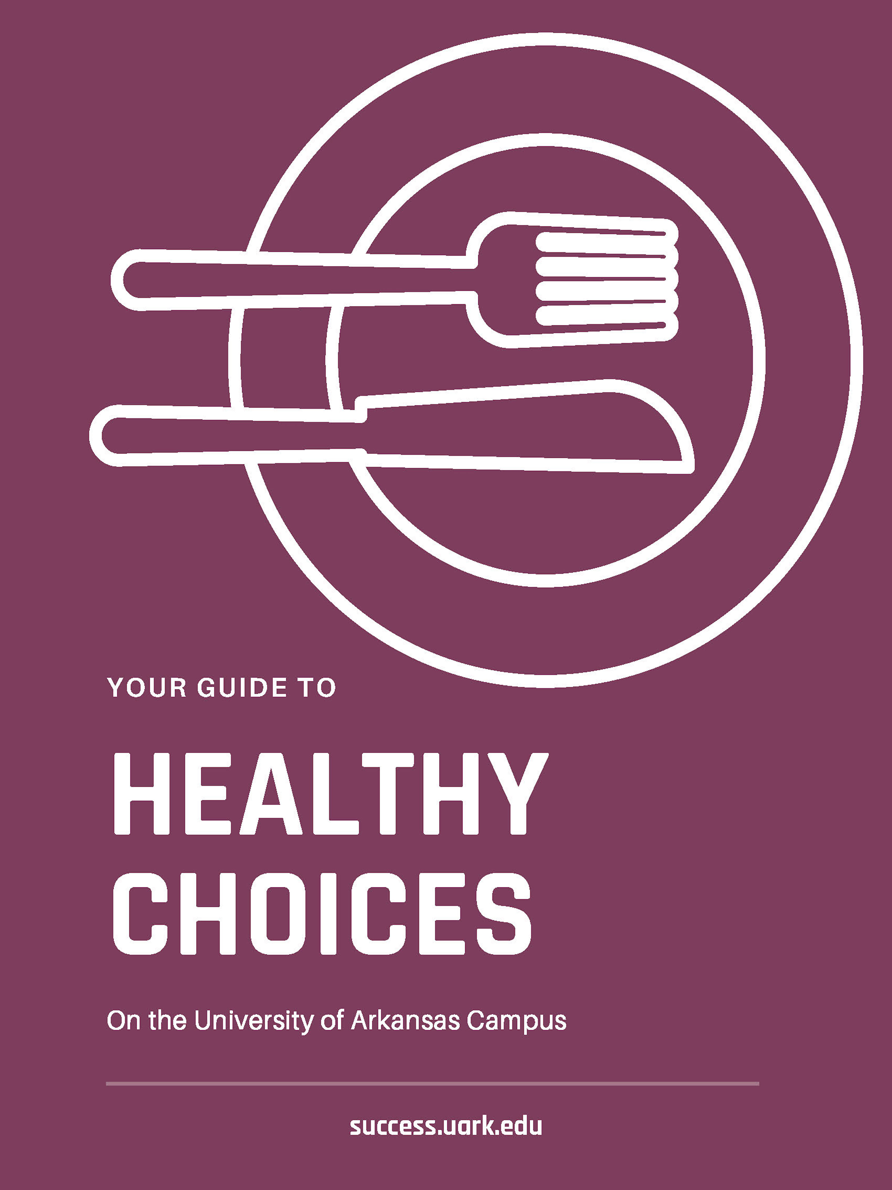 preview of the healthy choices pdf