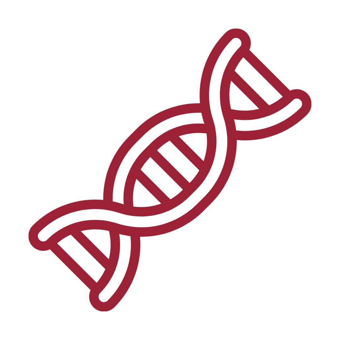 DNA icon