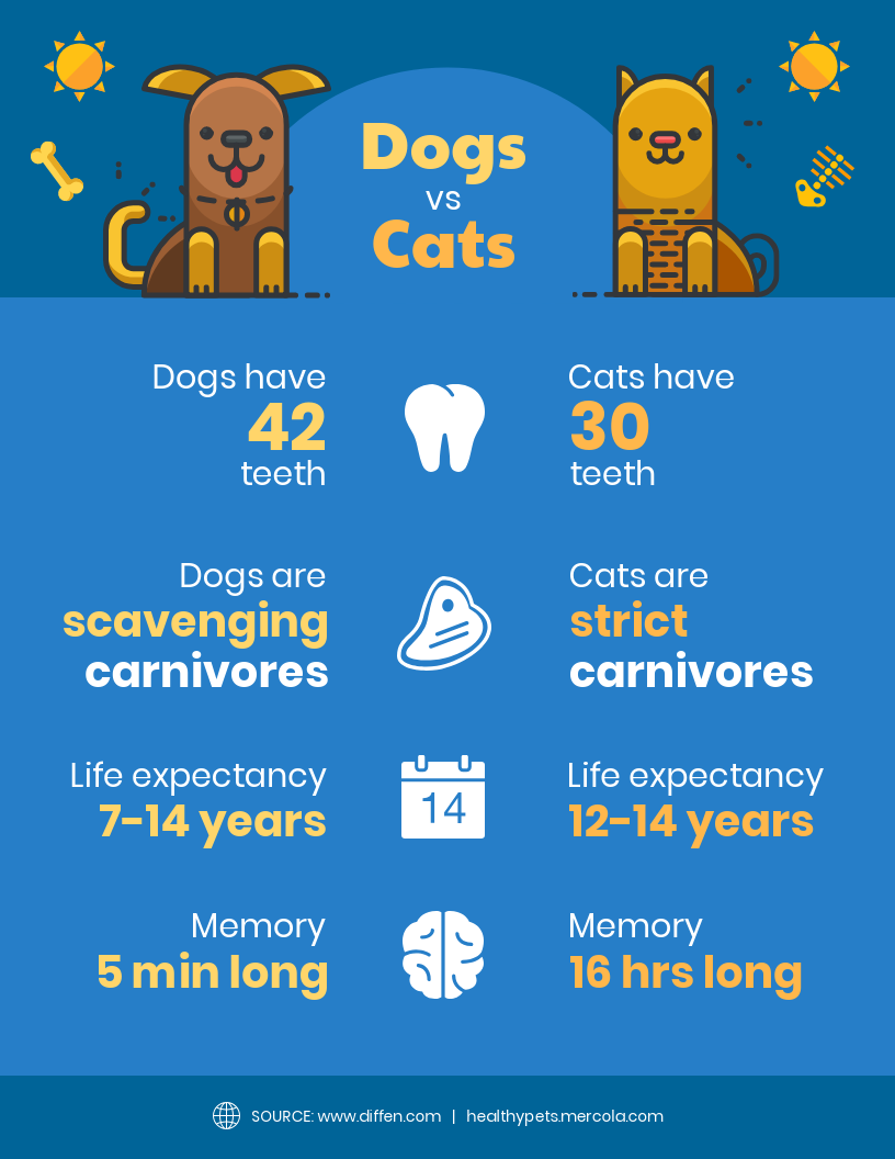 dogs vs. cats comparison; dogs have 42 teeth, cats have 30 teeth, dogs are scavenging carnivores, cats are strict carnivores; life expectancy for dogs is 7-14 years, for cats 12-14 years; dogs have a 5 minute long memory, cats have a 16 hour long memory